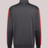 Adidas Audi Revolut F1 Team DNA Zip-up Grey Track Jacket