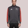 Adidas Audi Revolut F1 Team DNA Grey Track Jacket