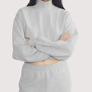 Aritzia Mock Neck Pullover Grey Sweatshirt