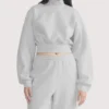 Aritzia Mock Neck Grey Fleece Sweatshirt